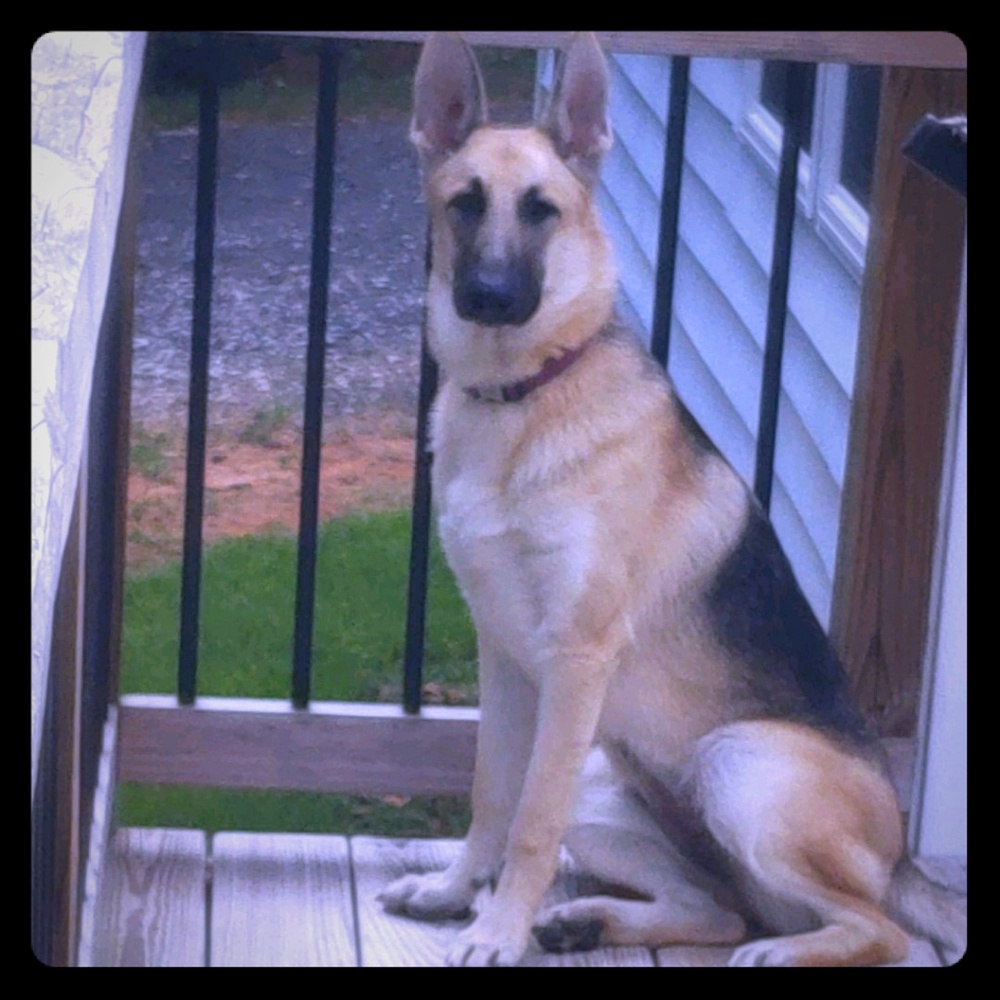 Posh Love from this Beauty 😍😍😍😍